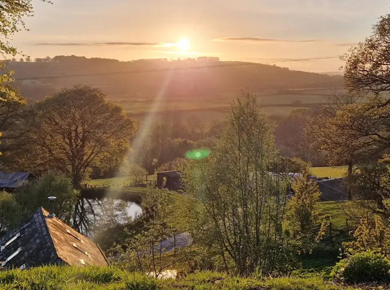 A view of the campsite surrounded by trees and fields.