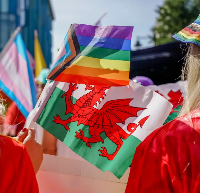 An image of a range of Welsh and LGBTQIA+ flags being held by Welsh sports fans