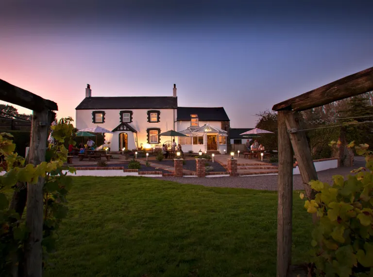 A view of the hotel surrounded by the vineyard