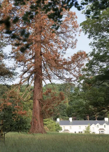 A view of the exterior of Ynyshir