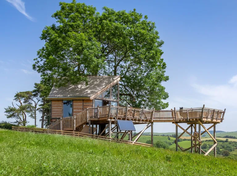 A view of a treehouse in a field