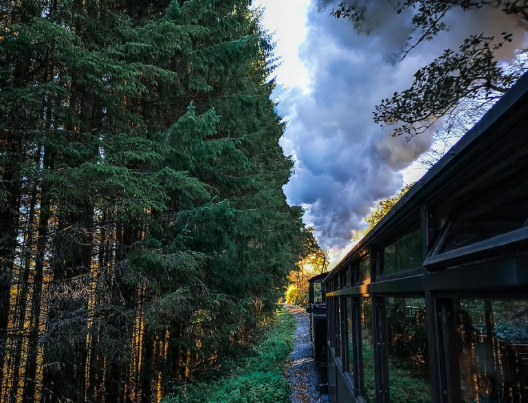 Train going past forest