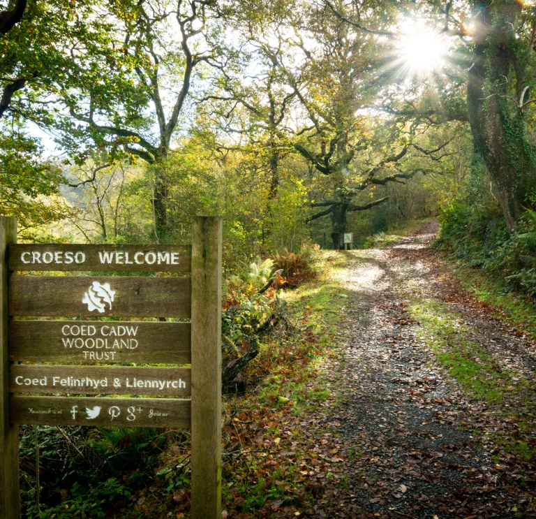 A wooden sign at the entrance to a native woodland.