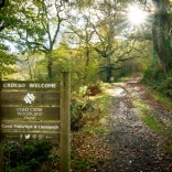 A wooden sign at the entrance to a native woodland.