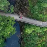 Llun o'r awyr o feiciwr mynydd yn beicio dros bont fechan a choed ar y ddwy ochr