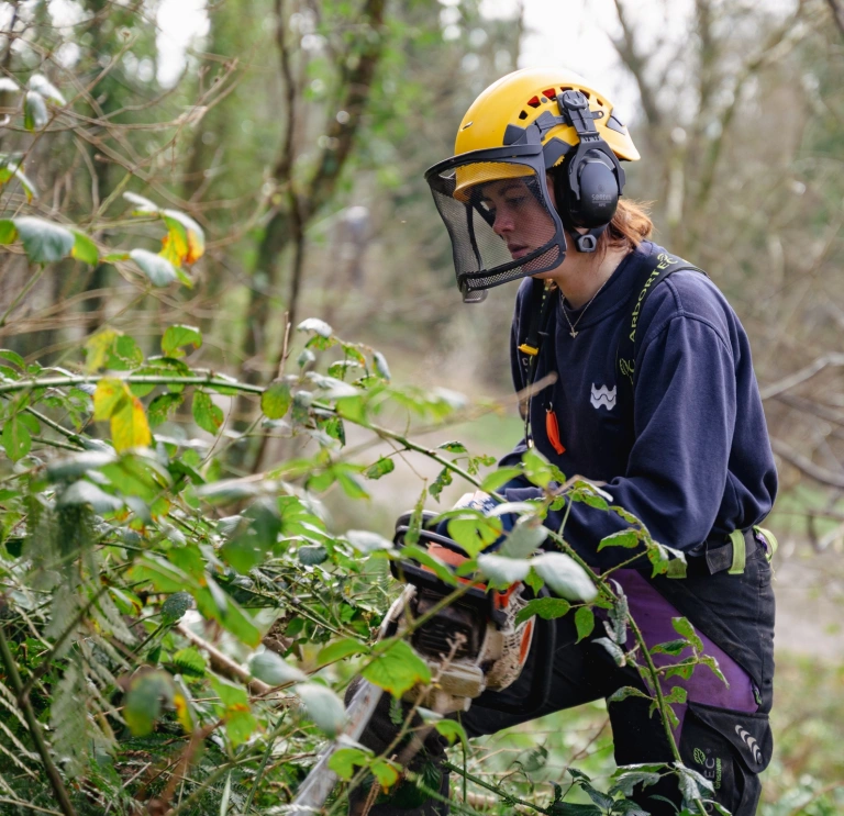 A person wearing a yellow helmet handles wood with a saw.