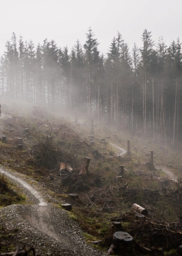 External shot of a dramatic mountain bike track set against a forested background