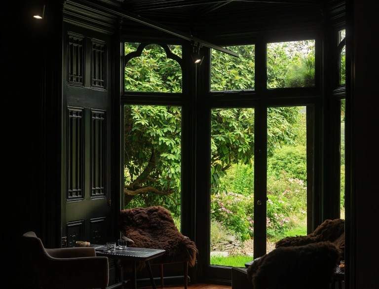 A view of the window looking out to green trees.