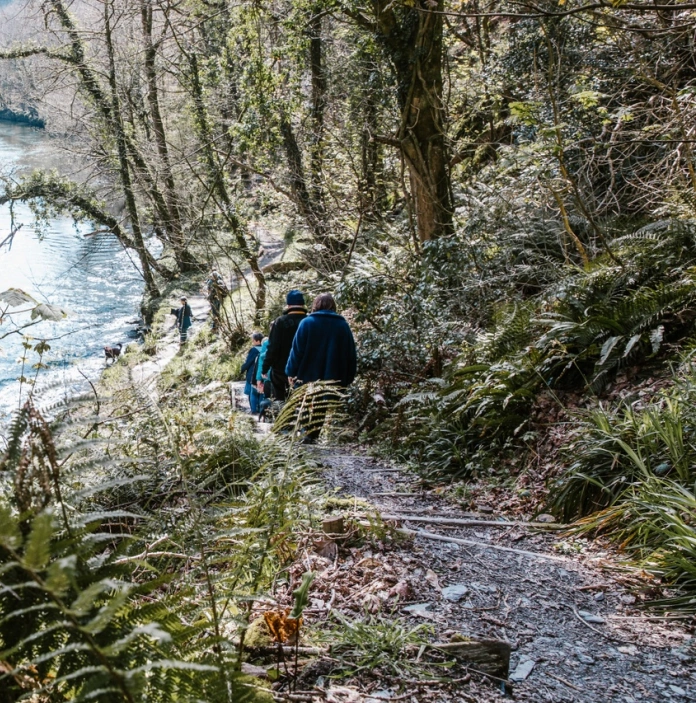 A couple walking through a forest