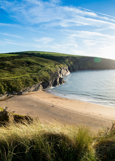 sandy beach on sunny day.