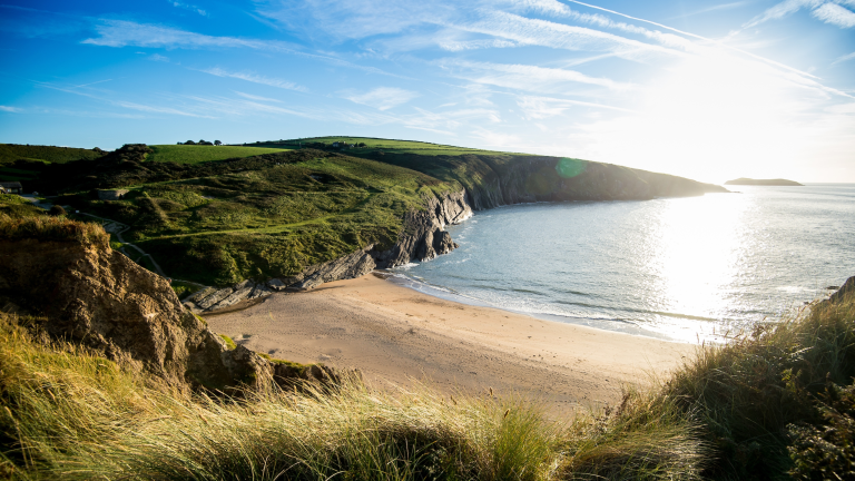 sandy beach on sunny day.