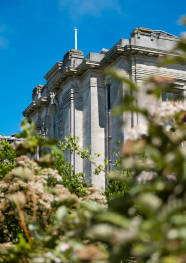 view of exterior of library through bushes.