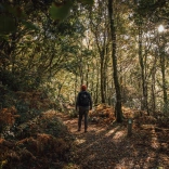 A man walking through a forest