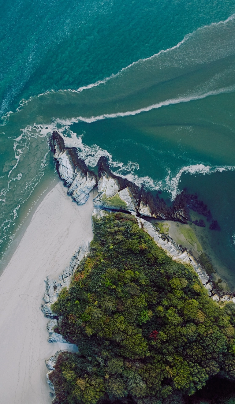 Portmeirion aerial view