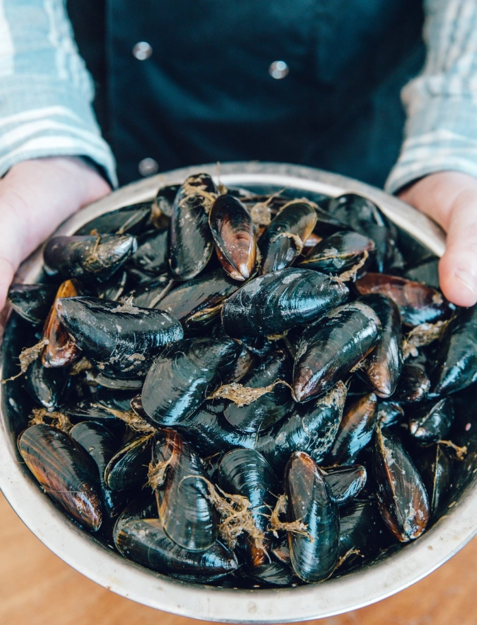 A bowl of cooked mussels.