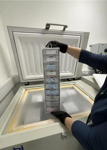 A person holding up the Organoids