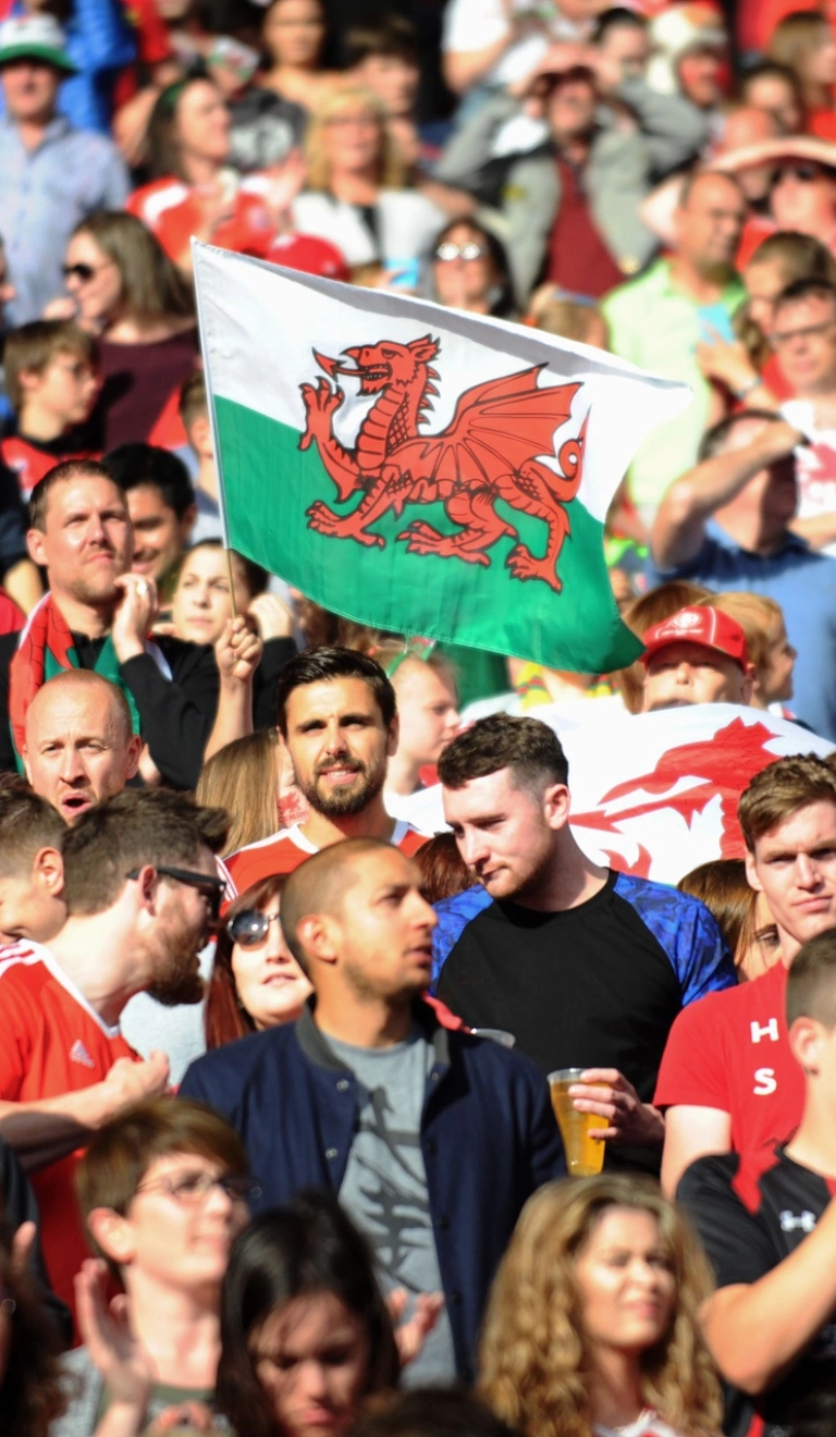 ウェールズの旗と群衆