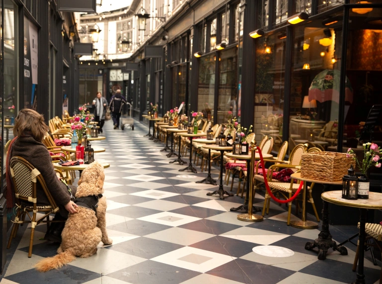 Interior view of a historical shopping arcade, with coffee shop seating and boutique stores