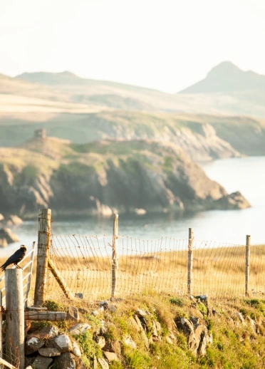 View across the Pembrokeshire Coast National Park.