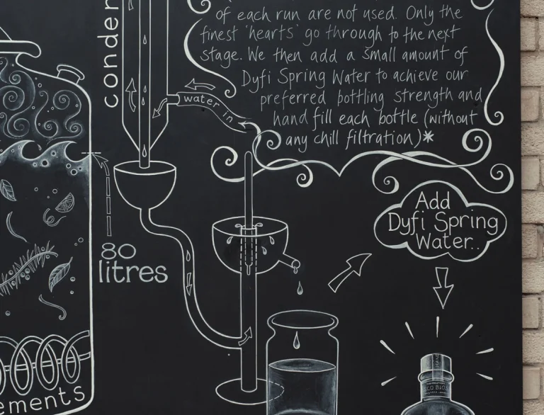 Dyfi Gin flow diagram, illustrated on blackboard