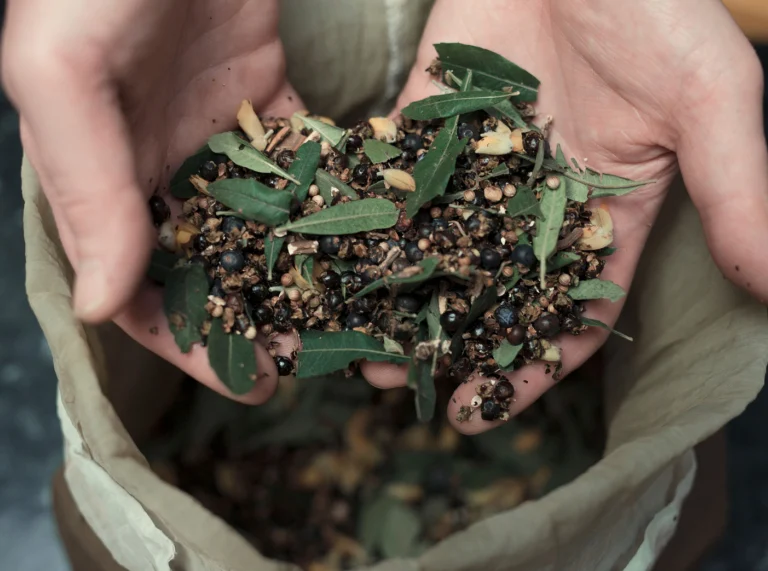Bog myrtle and juniper freshly sourced