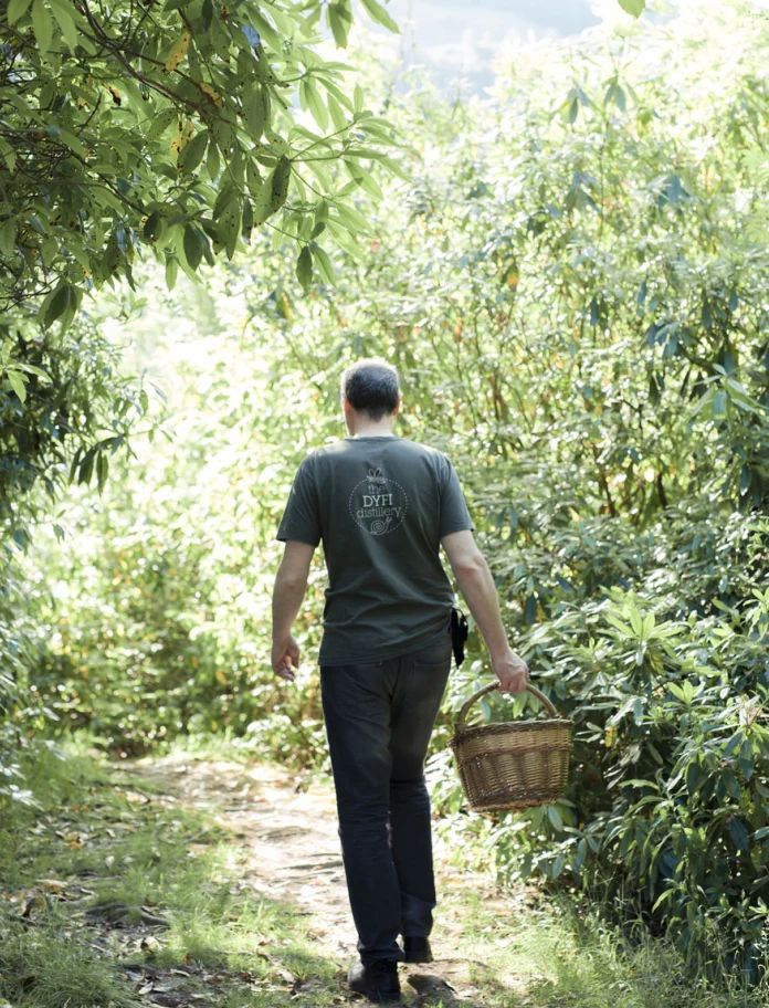 Danny Cameron foraging