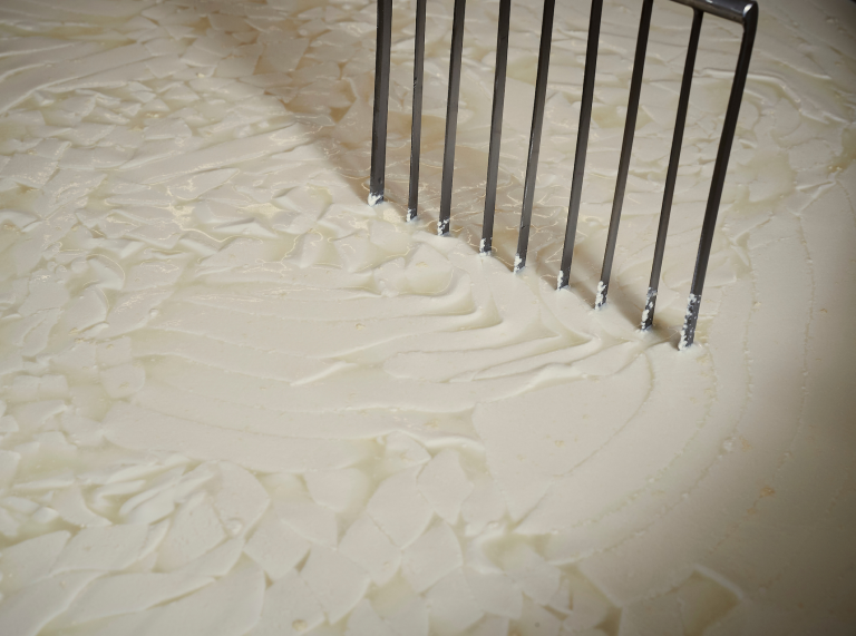 Close-up of raw milk from Cilcert Farm, used to make Caws Teifi cheeses.