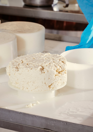 Some moulds ready for shaping fresh cheese