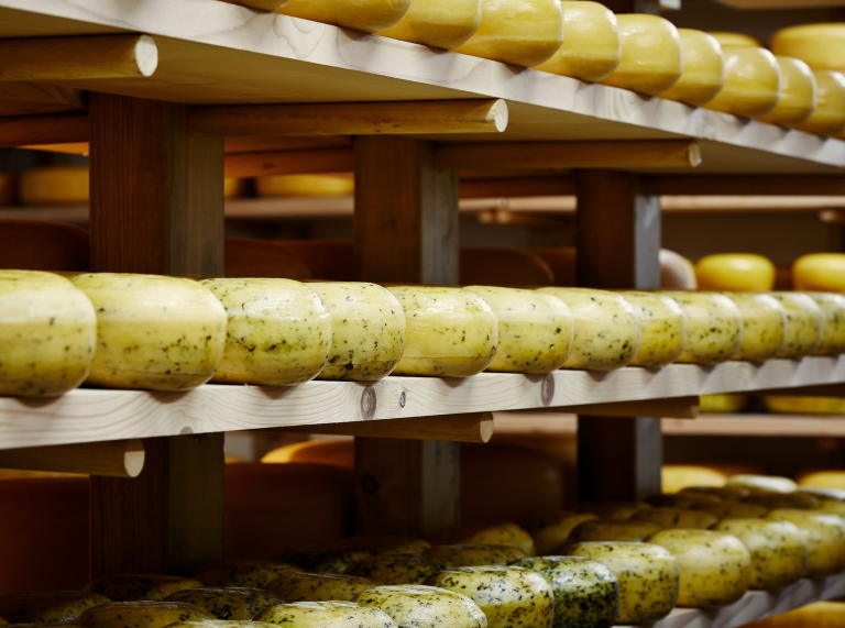 Cheeses maturing on shelves in a warehouse