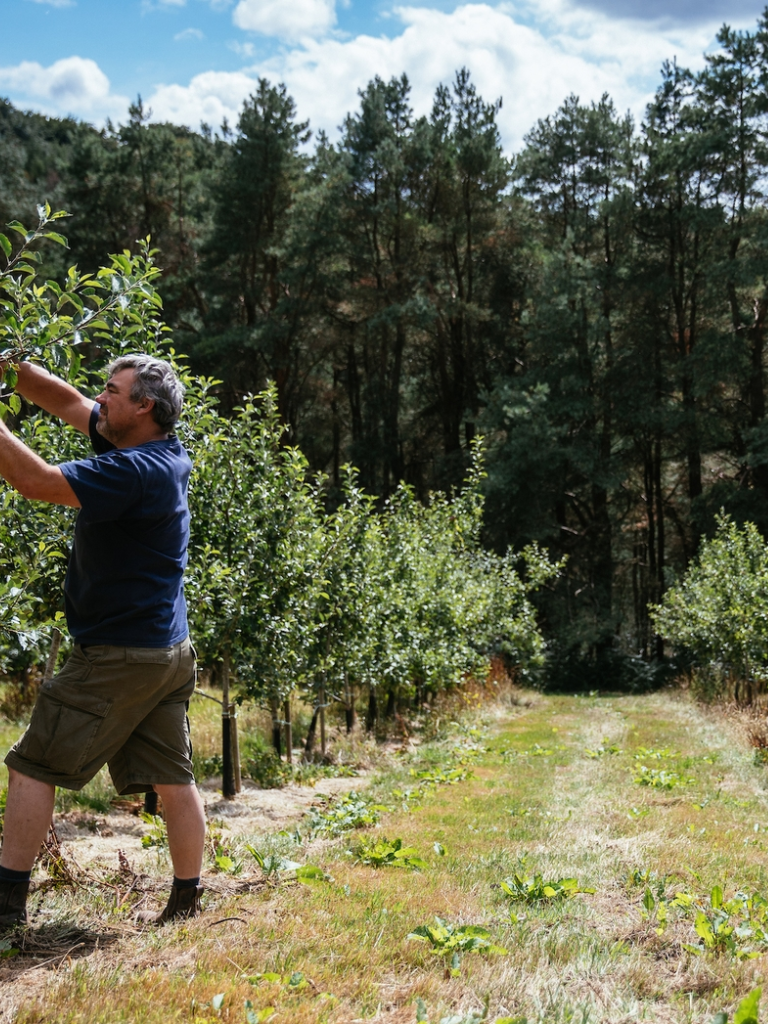 Andy Hallett and his son working on the apple trees at Blaengawney Farm.