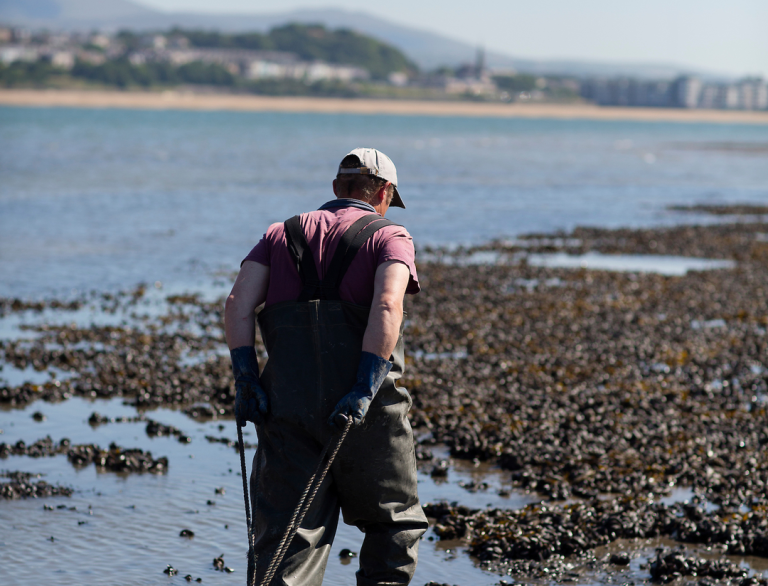 Shaun Krijnen pulling a crate of mussels.